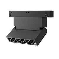 48V Adjustable Linear Spot
